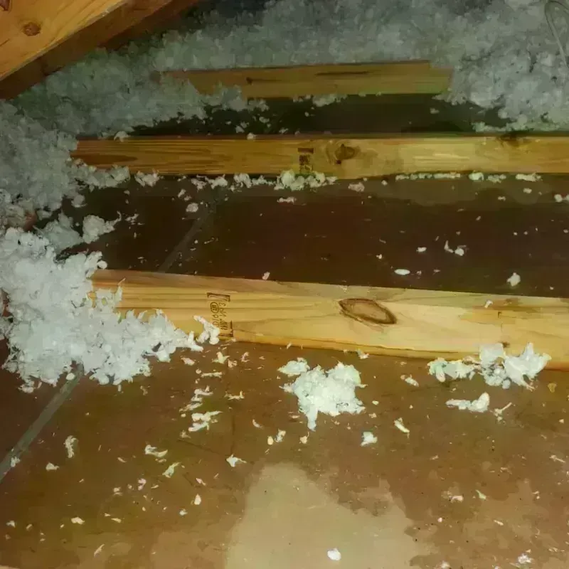 Attic Water Damage in Lincoln Park, CO